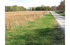 Property photo 30 - 212 Acres Offered in 6 Tracts - Selling Regardless of Price
